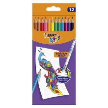 Bic Kids Evolution Illusion Kuruboya Kalem Seti 12'li 987868 - Bic