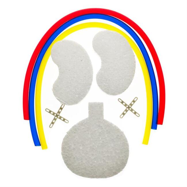 Boşaltım Sistemi Modeli - 1