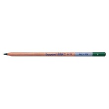 Bruynzeel Dessin Aquarell Sulu Boya Kalemi Dark Green B883561K - Bruynzeel