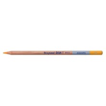 Bruynzeel Dessin Aquarell Sulu Boya Kalemi Dark Yellow B883522K - Bruynzeel