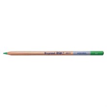 Bruynzeel Dessin Aquarell Sulu Boya Kalemi Green B883566K - Bruynzeel