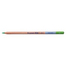 Bruynzeel Dessin Aquarell Sulu Boya Kalemi Light Green B883560K - Bruynzeel