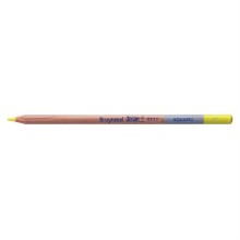 Bruynzeel Dessin Aquarell Sulu Boya Kalemi Light Lemon Yellow B883521K - Bruynzeel