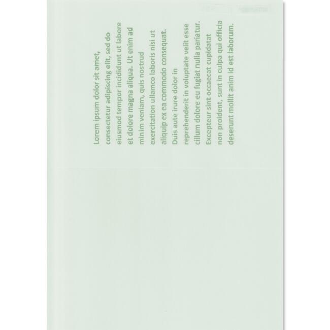 Buzlu Transparan Asetat 450 Mikron A4 Sarı N:15201110 - 2