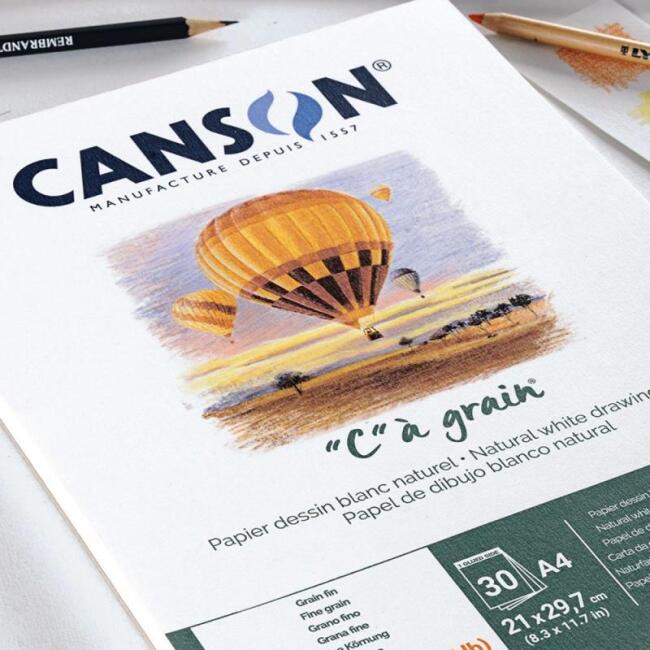 Canson C à Grain Çok Amaçlı Çizim Defteri 224 g A3 30 Yaprak - 2