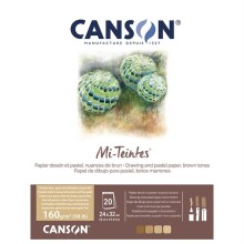 Canson Mi-Teintes Pad Gbrown Tones 24x32 cm 160 g 20 Yaprak N:31032P001 - CANSON