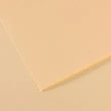 Canson Mi-Teintes Pastel Kağıdı 160 gr 50x65 cm Ivory 111 - 1