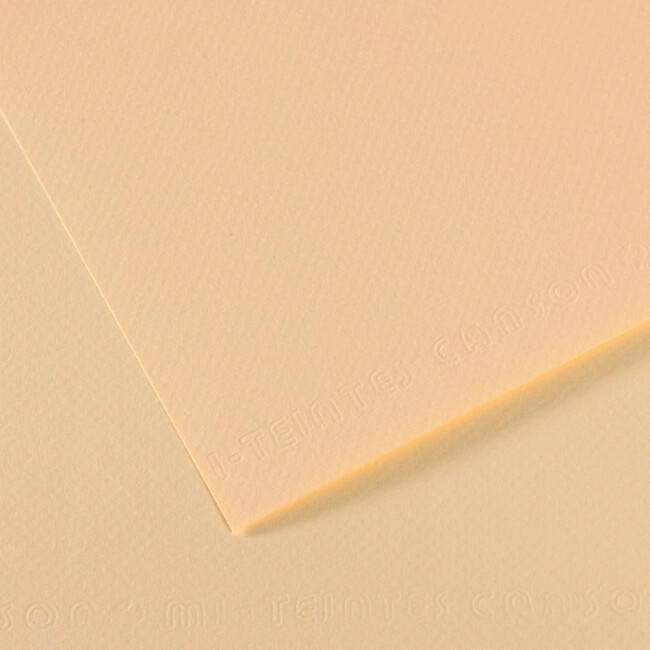 Canson Mi-Teintes Pastel Kağıdı 160 gr 50x65 cm Ivory 111 - CANSON