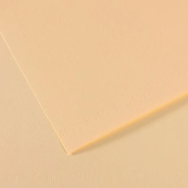 Canson Mi-Teintes Pastel Kağıdı 160 gr 50x65 cm Ivory 111 - 1