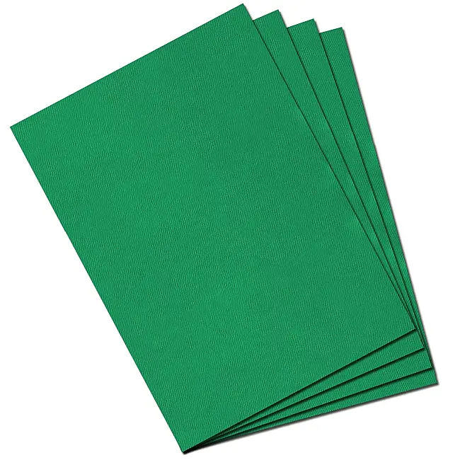 Canson Mi-Teintes Soft Pastel Kağıdı 160 gr 50X65Cm Vert Bıllard - 1
