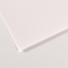 Canson Mi-Teintes Pastel Kağıdı 160 gr 50x65 cm White 335 - 1