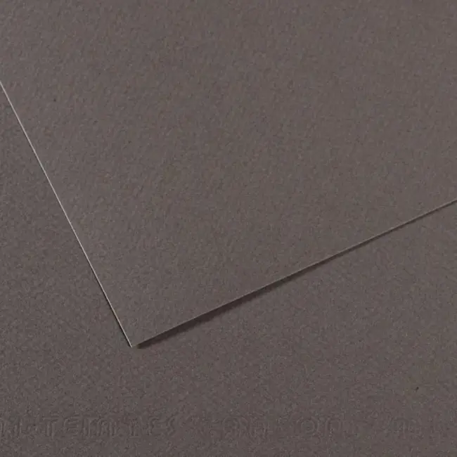 Canson Mi-Teintes Pastel Kağıdı 160 gr 50x65 cm Dark Grey 345 - 1