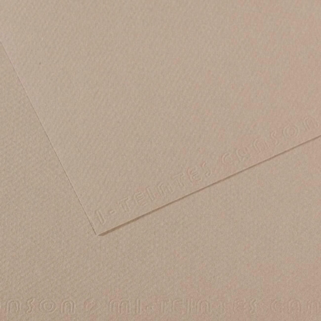 Canson Mi-Teintes Pastel Kağıdı 160 gr 50x65 cm Fannel Grey 122 - CANSON