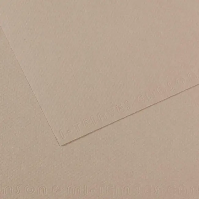 Canson Mi-Teintes Pastel Kağıdı 160 gr 50x65 cm Fannel Grey 122 - 1