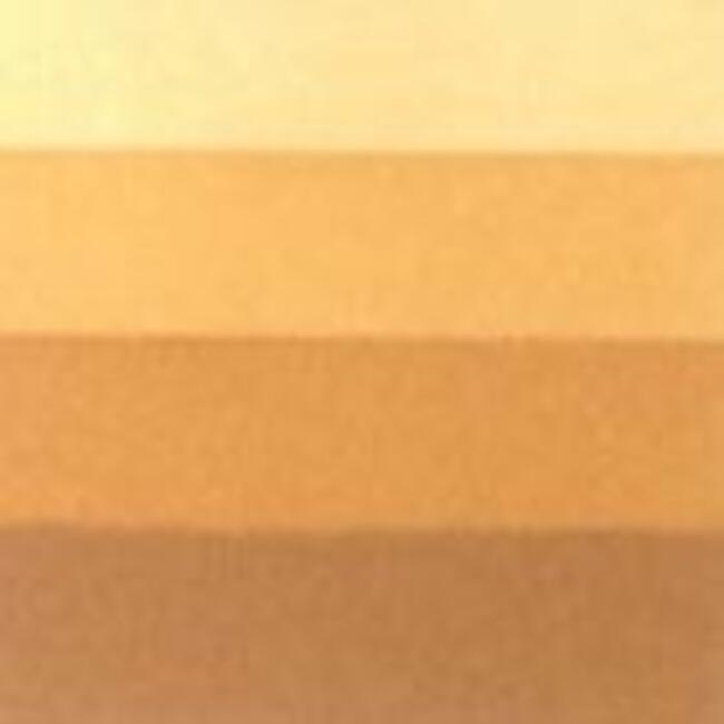 Charbonnel Gravur Boyası 200Ml S:1 Yellow Ochre - 4