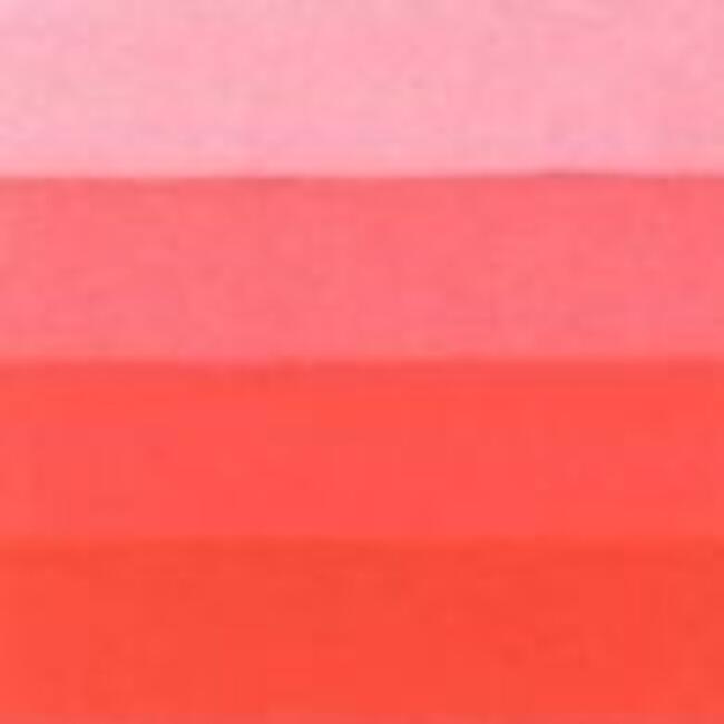 Charbonnel Gravur Boyası 200Ml S:4 Cardınal Red- Kırmızı - 4