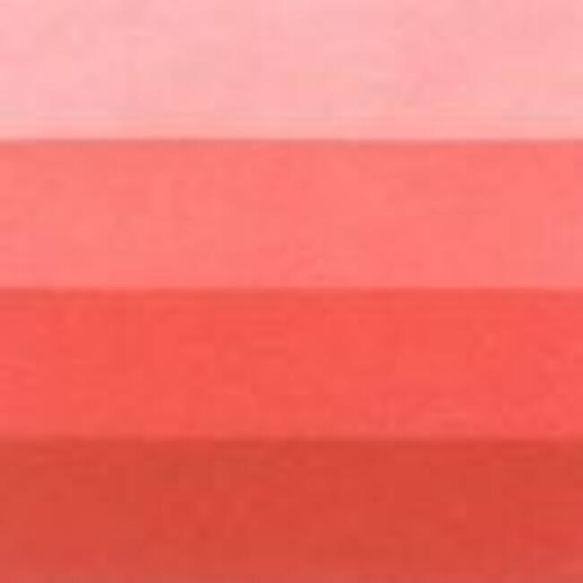 Charbonnel Gravur Boyası 200Ml S:5 Carmine - 4