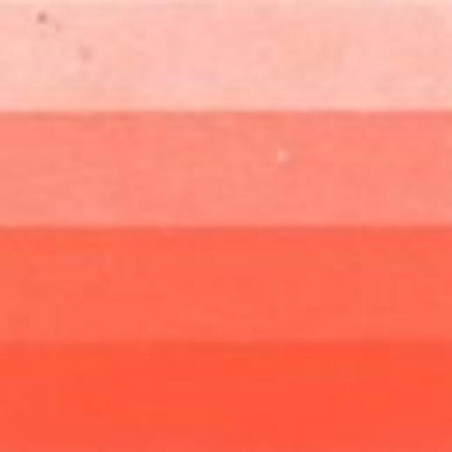 Charbonnel Gravur Boyası 200Ml S:5 Warm Red - 4
