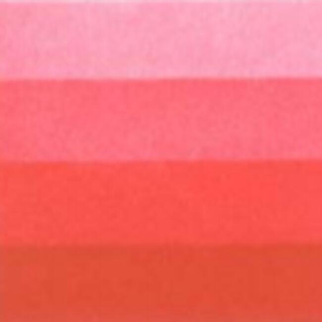Charbonnel Gravur Boyası 200Ml S:6 Rubıs Red - 4
