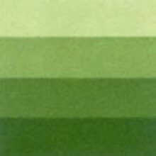 Charbonnel Gravur Boyası 60Ml Aqua Wash N:3 Medium Green Su Bazlı - 4