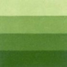 Charbonnel Gravur Boyası 60Ml Aqua Wash N:3 Medium Green Su Bazlı - 4