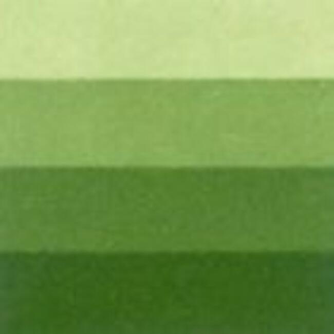 Charbonnel Gravur Boyası 60Ml Aqua Wash N:3 Medium Green Su Bazlı - 2