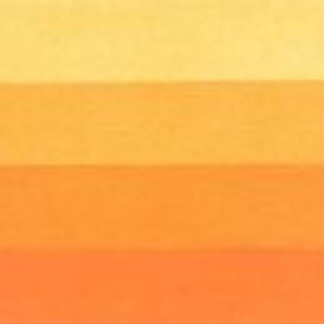 Charbonnel Gravür Boyası Apricot Yellow Seri 4 200 ml 406 - 2