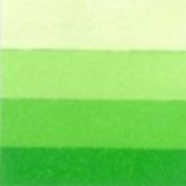 Charbonnel Gravür Boyası Spring Green Seri 4 200 ml - 2