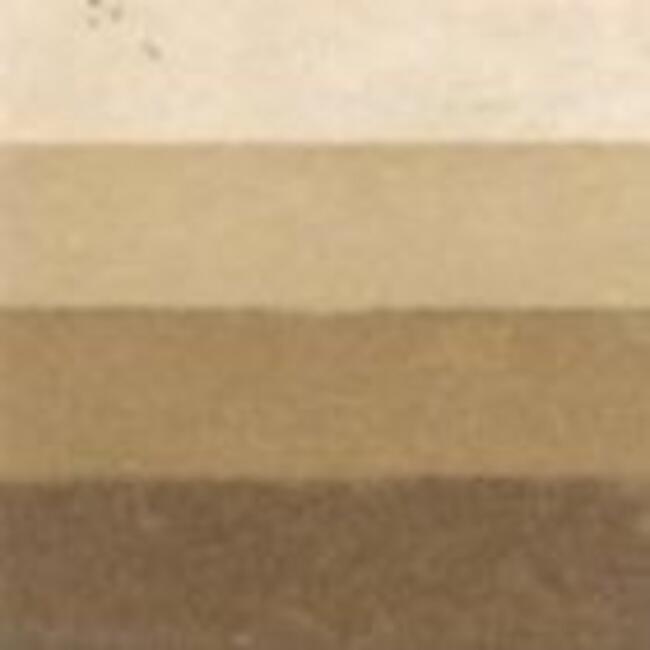 Charbonnel Gravure Ink 60 ml Raw Umber 2 - 2