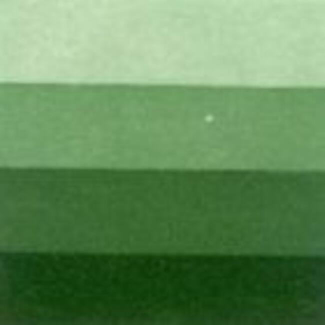 Charbonnel Gravure Ink 60 ml Sap Green 4 - 2