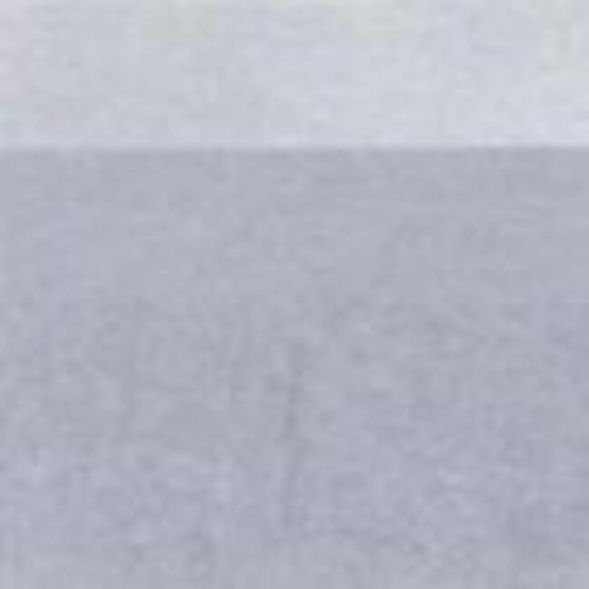 Charbonnel Gravure Ink 60 ml Silver 4 - 2