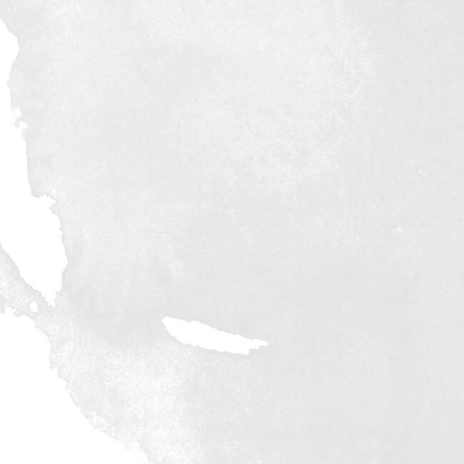 Daler Rowney Aquafine Ink 29.5 ml Sulu Boya Mürekkebi Chinese White 1 - 2