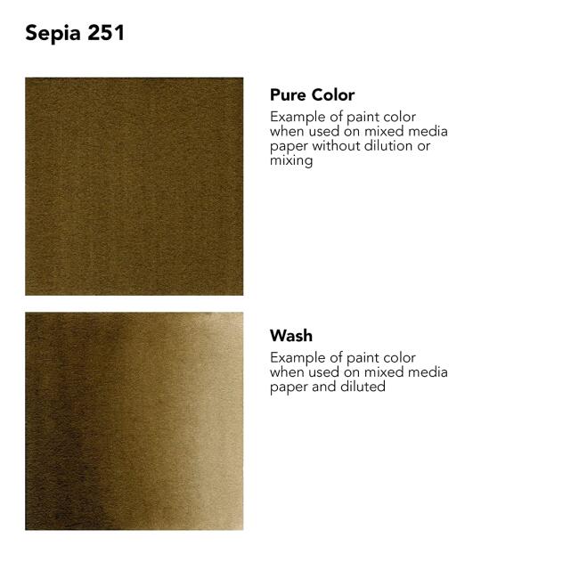 Daler Rowney Fw Artist Akrilik Mürekkep 180 ml Sepia 251 - 2