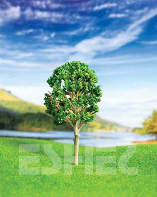 Eshel Maket Ceviz Ağacı 12 cm - 2