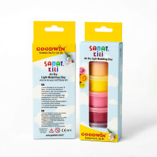 Goodwin Sanat Kili Seti 20 gr x 6 Renk - Goodwin