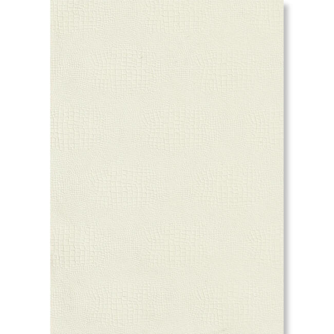 Gvn Art Fantazi Yılan Desen Karton 270 gr A4 Ivory Fildişi C.30.904 - 1