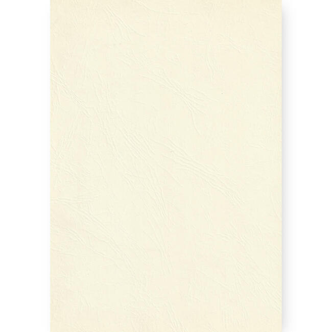 Gvn Art Deri Desenli Kağıt 320 gr Fildişi A4 - 1