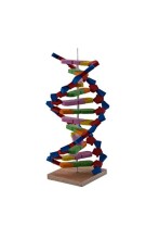 Gvn Art DNA Modeli Yapım Seti - Gvn Art (1)