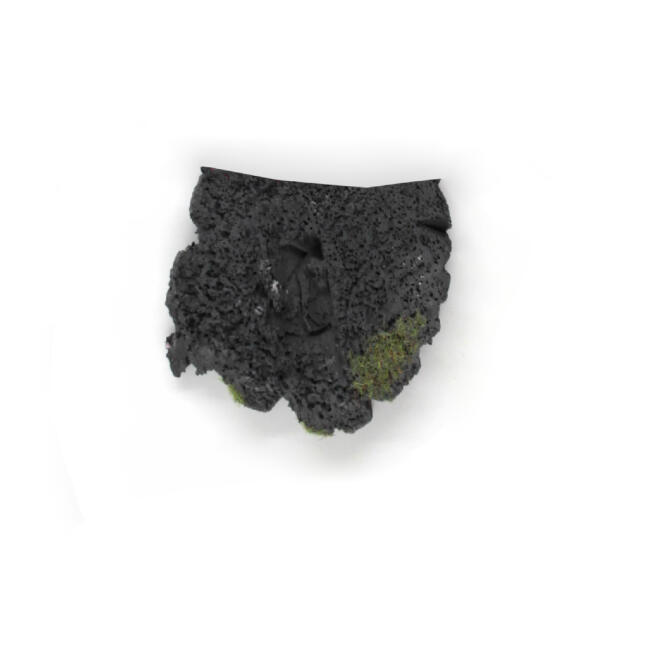 Gvn Art Prinç Kaplı Tel Fırça 25cm - 2