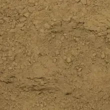 Gvn Art Pro Art Toz Pigment 150 ml Raw Umber - 3