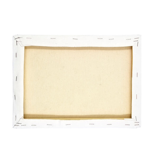 Gvn Art Profesyonel Tuval 35x50 cm - 3