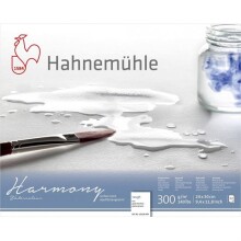 Hahnemühle Harmony Sulu Boya Blok Rough 300 g 24x30 cm 12 Yaprak - Hahnemühle