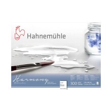 Hahnemühle Harmony Sulu Boya Blok Rough 300 g 30x40 cm 12 Yaprak - Hahnemühle