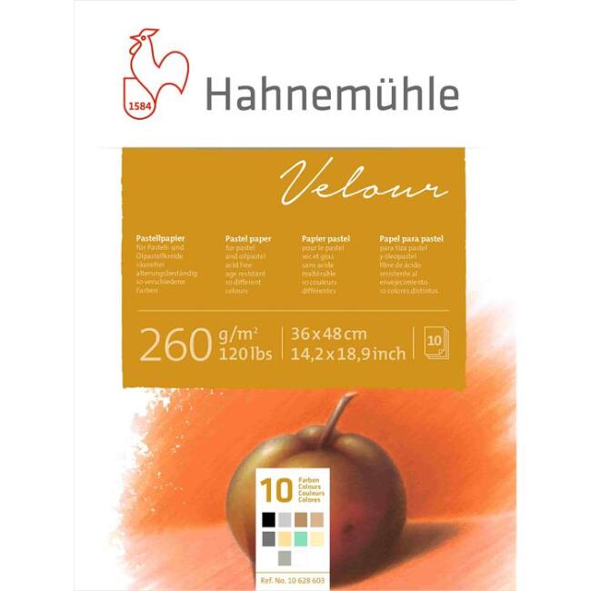Hahnemühle Velour Pastel Blok 260 g 36x48 cm 10 Renkli 10 Yaprak - 2