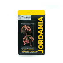 Jordania Maket Çiçekli Ağaç 1:200 Ölçek 4 cm 2li Yeşil - Pembe JEO3P-W4070A - JORDANIA