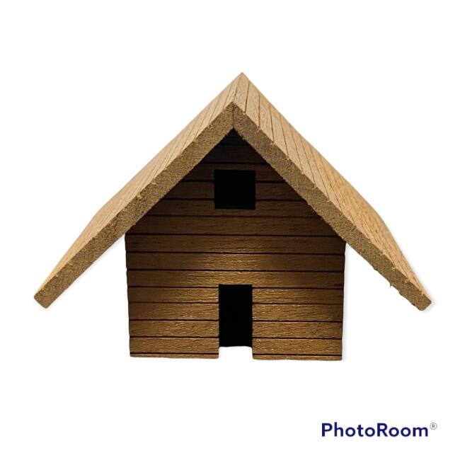 Jordania Maket Orman Evi N:Ms01 - 2