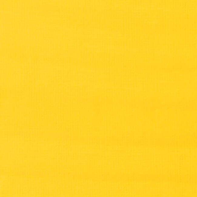 Liquitex Akrilik Kalem 15 mm Cadmium Yellow Light Hue - 2