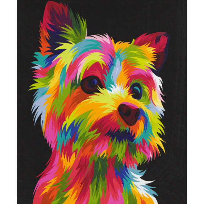 Magic Art Sayılarla Boyama Tuval 40x50 cm Sevimli Dost - 1