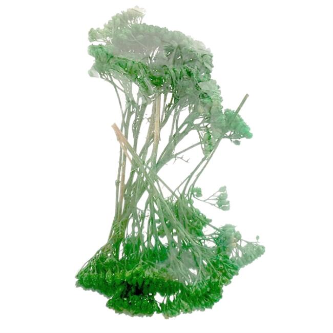 MK Model Poşet Ağaç Açık Yeşil1/500-1/50 - 1