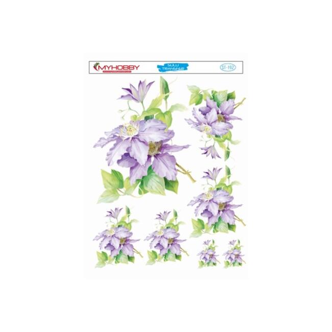 My Hobby Sulu Transfer 25X35Cm St-192 - 2